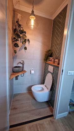 a white toilet sitting inside of a bathroom next to a wooden shelf filled with potted plants