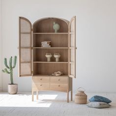 an open bookcase in the corner of a room with cactus and potted plant