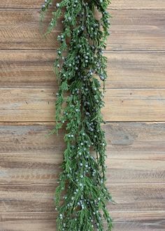 a green plant hanging from the side of a wooden wall