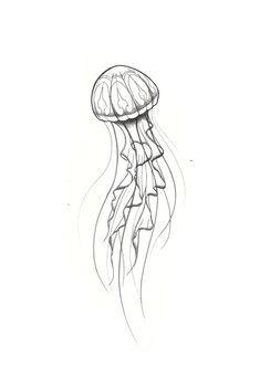 a black and white drawing of a jellyfish