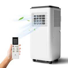 a person holding a remote control next to a small air conditioner with green leaves on it