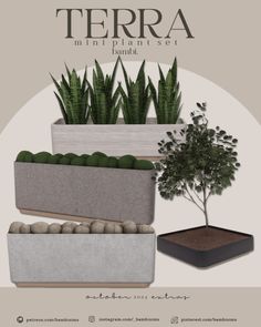 the terra planter set is shown in three different colors