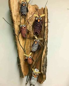 some pine cones and owls are on a piece of wood