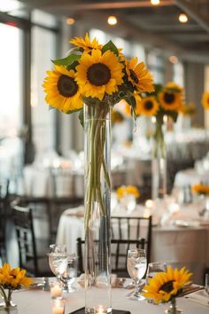 sunflowers are arranged in tall vases on the tables at a wedding reception