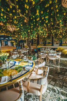 an outdoor dining area with tables and chairs under a tree full of lemons hanging from the ceiling