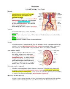 an overview of the human body and its functions