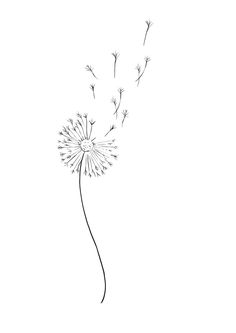 a drawing of a dandelion blowing in the wind