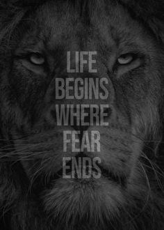 a lion's face with the words life begins where fear ends written on it