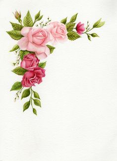 watercolor painting of pink roses on white paper