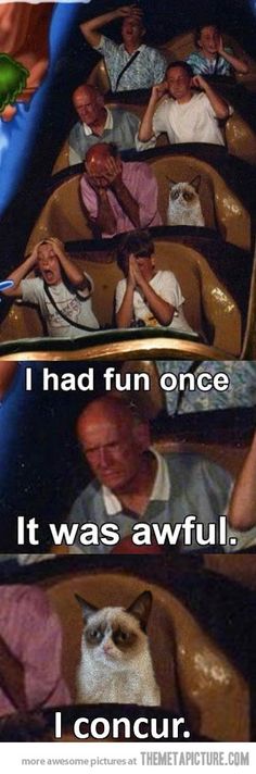 an image of people in roller coasters with caption that reads, i had fun once it was awful i concur