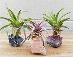 three air plants in wire wrapped pots on a wooden table with rocks and grass growing out of them