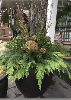 a large potted plant sitting on top of a stone floor next to a building