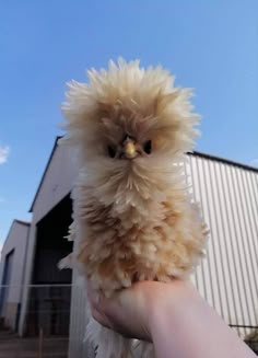 a person holding a small stuffed animal in their hand with a building in the background