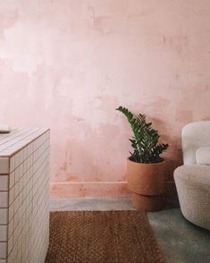 a plant in a pot next to a white chair and pink wall with peeling paint