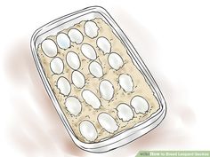 an egg tray with eggs in it