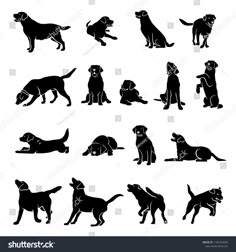 black silhouettes of dogs and puppies on white background stock photo royaltyvector