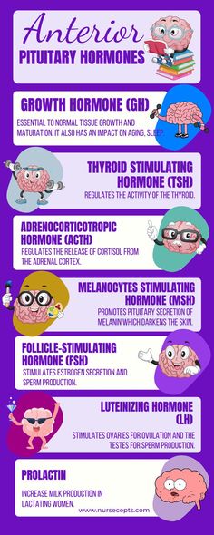 an info poster showing the different types of people's brain and their functions in life