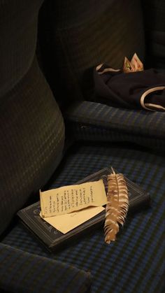 a book and feather sitting on a couch