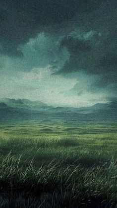 the sky is dark and cloudy over an open field with tall grass in the foreground