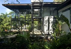 the house is surrounded by trees and plants