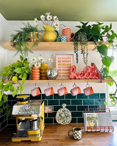 a kitchen counter with pots and plants on the top shelf, next to an espresso machine