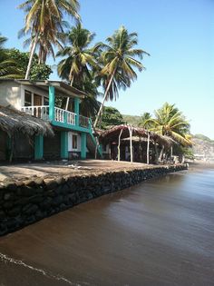 a house on the beach with palm trees in the backgrouds and water