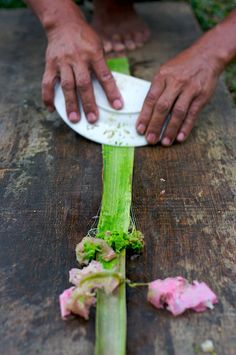 a person cutting celery on top of a wooden table