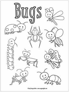 bugs coloring page for kids to color and practice their handwriting with the help of pencils