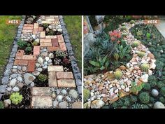 two pictures side by side showing different types of plants and rocks in the same area