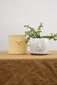 a plant in a white pot next to a ceramic vase with a face on it