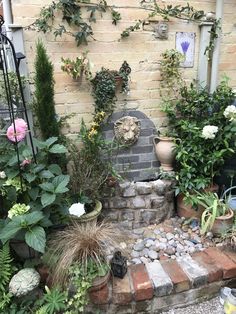 an outdoor garden with various plants and flowers