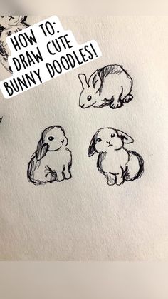 how to draw cute bunny doodles