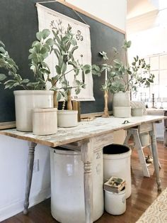 several potted plants sit on top of a table in front of a chalkboard