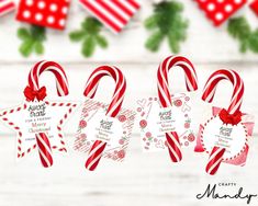 three candy canes with tags attached to them