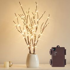 a white vase filled with branches and lights next to a small camera on a table