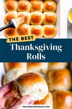 the best thanksgiving rolls recipe ever