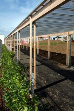 a row of green plants next to a building with metal awnings on it