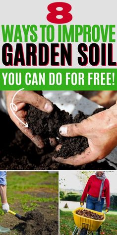 8 ways to improve garden soil you can do for free