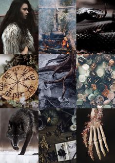 a collage of images with different animals and symbols on them, including an animal's hand