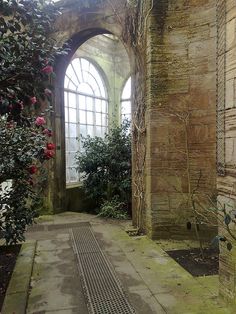 the inside of an old building with lots of plants