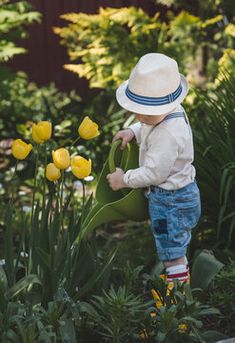 a little boy in a hat is watering the flowers with yellow tulips behind him