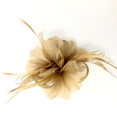 Gold Feather Fascinator A contemporary feather fascinator for any special occasion such as weddings, the races or ladies day There is a clip as well as a pin on the back so it could also be worn as a brooch Christmas Tree Headband, Gold Fascinator, Fascinator Hair, Beaded Hair Clips, Bow Hairband, Wedding Barrettes, Race Party, Feather Fascinator, Silver Headband