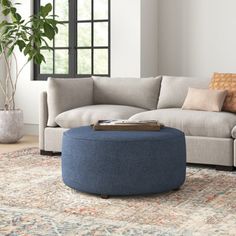 a living room with a couch, ottoman and potted plant