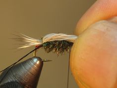 a close up of a person's hand holding a fly