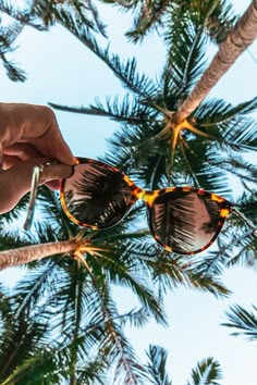 someone holding up their sunglasses in front of some palm trees