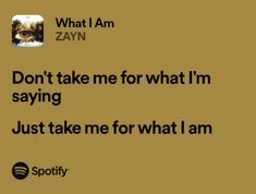 a brown background with the words, what i am zayn don't take me for what i'm saying just take me for what i am