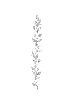 Spine Leaf Tattoos For Women, Vine With Small Flowers Tattoo, Small Flowers On Vines Tattoo, Vine Wrap Tattoo Stencil, Wrap Around Vines Tattoo, Cute Vine Tattoos, Ivy Spine Tattoos For Women, Spine Plant Tattoo, Lavender Tattoo Spine