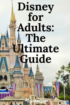 the ultimate guide to disney world for adults