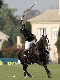 a man on a horse is playing polo