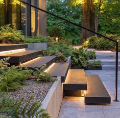 an outdoor area with stairs, plants and lights